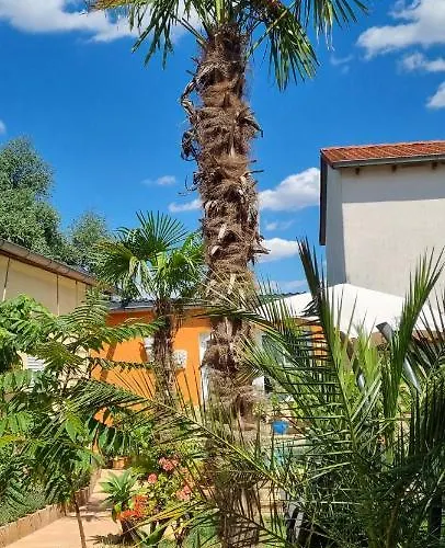 Grahl\'S Ferienwohnung